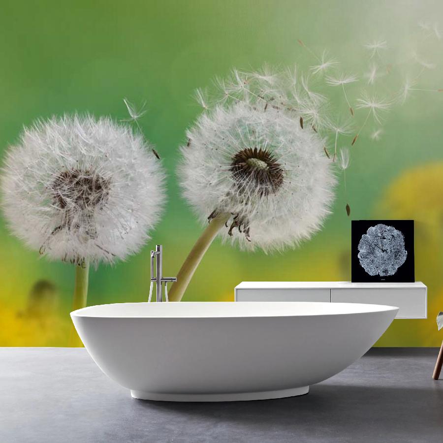фотообои белые одуванчики 10-067