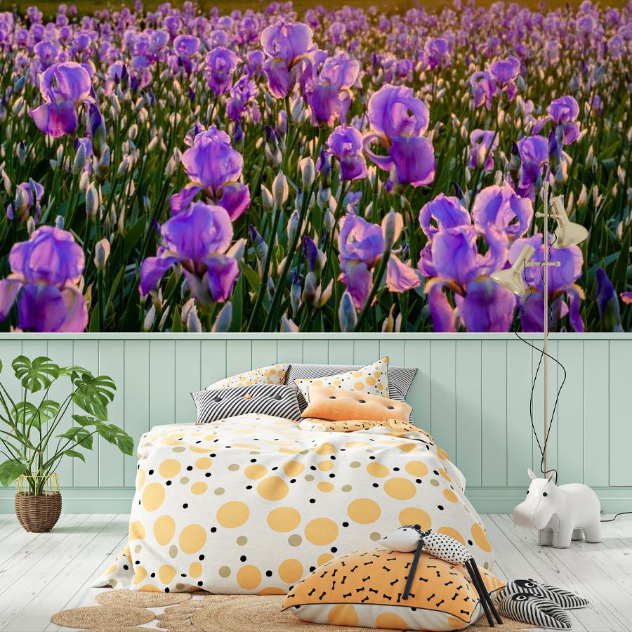 фотообои ирисовые поля 10-006