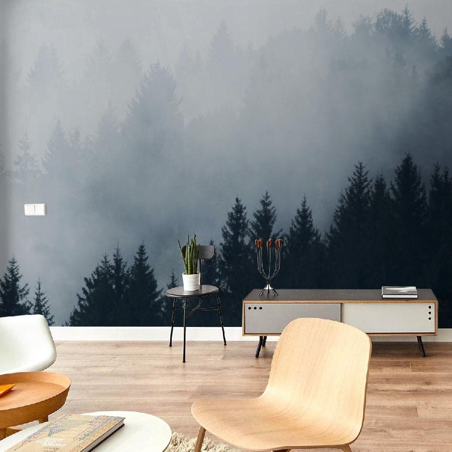 фотообои пейзажи в тумане 9-1169