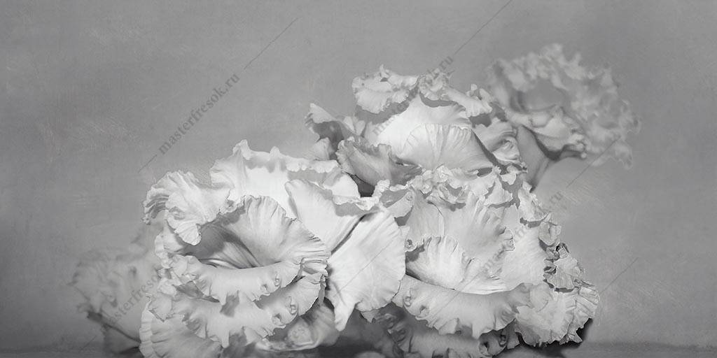 Фотообои Белые цветы 3д