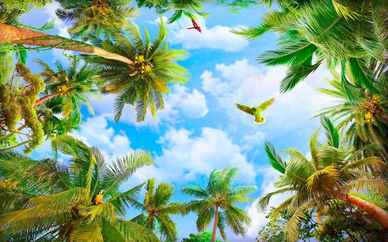 фотообои пальмы до небес 11-009