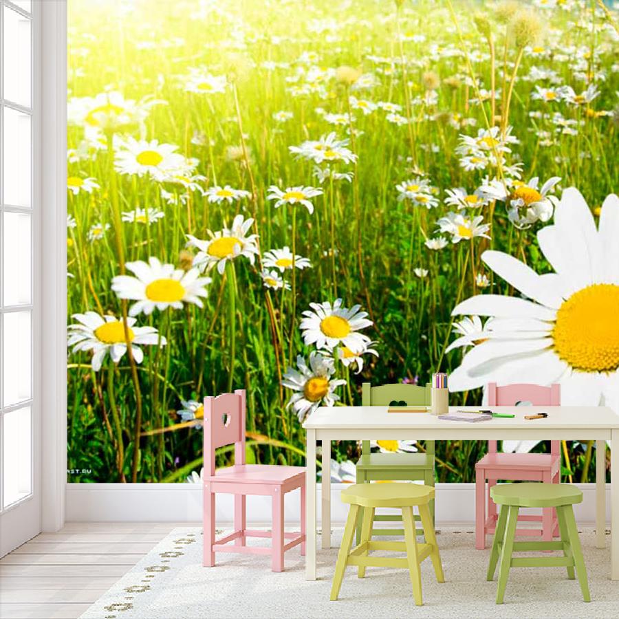 фотообои поле ромашек и лучи солнца 9-387