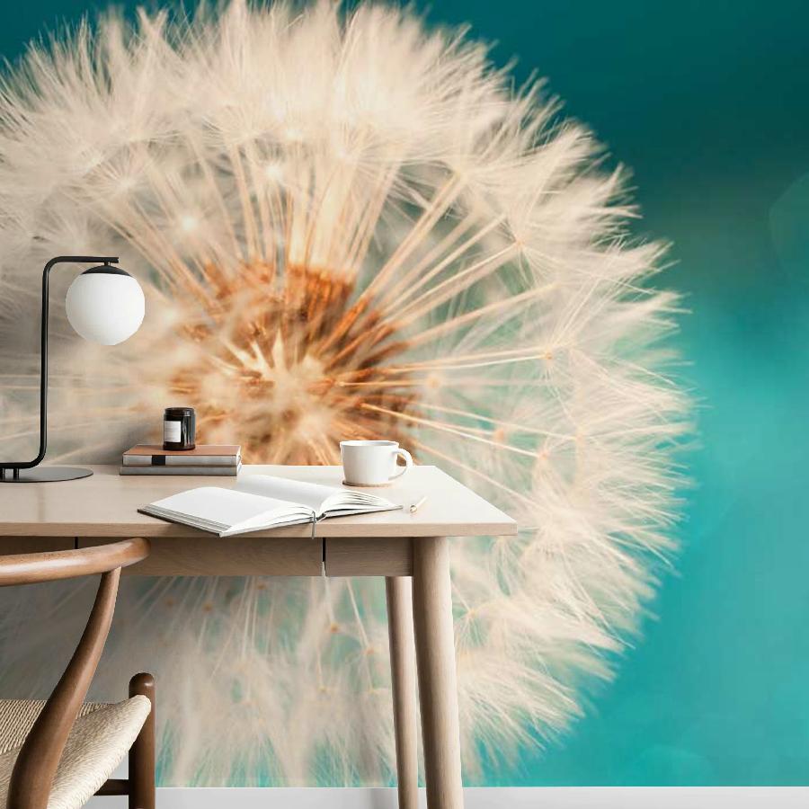 фотообои одуванчик на бирюзовом фоне 10-064