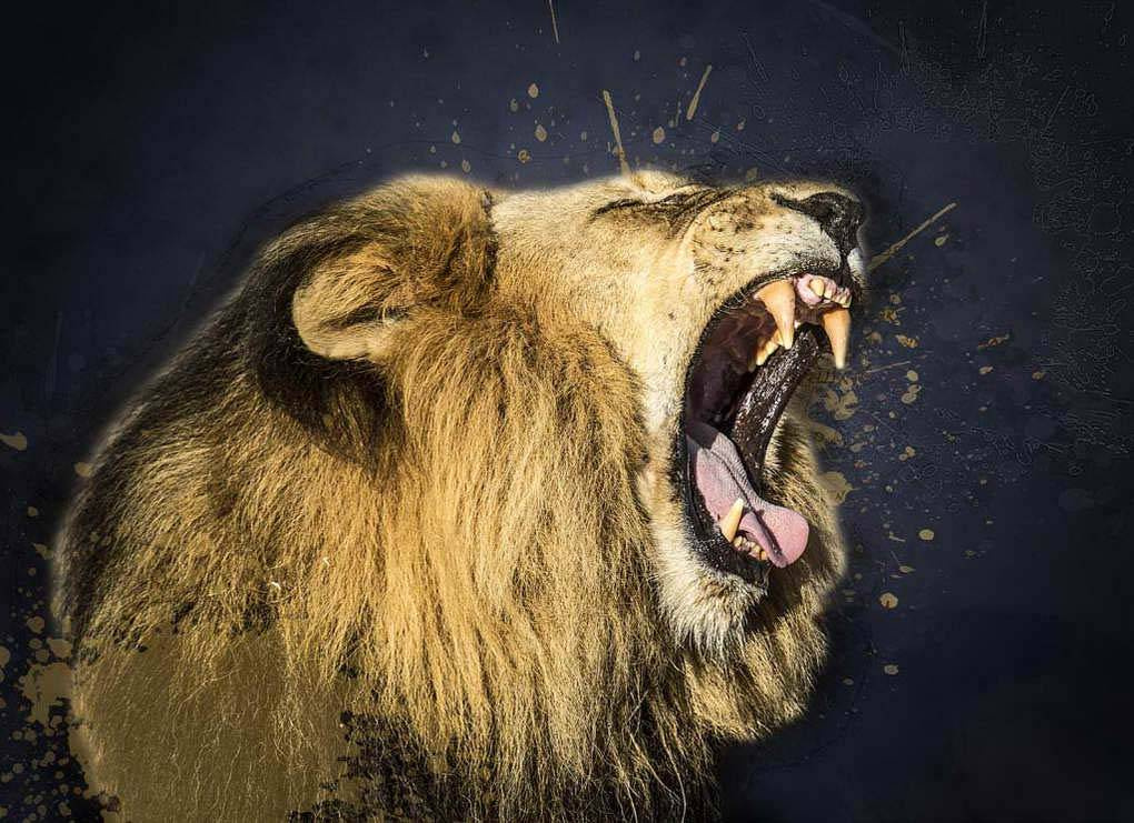 Фотообои Морда рычащего льва