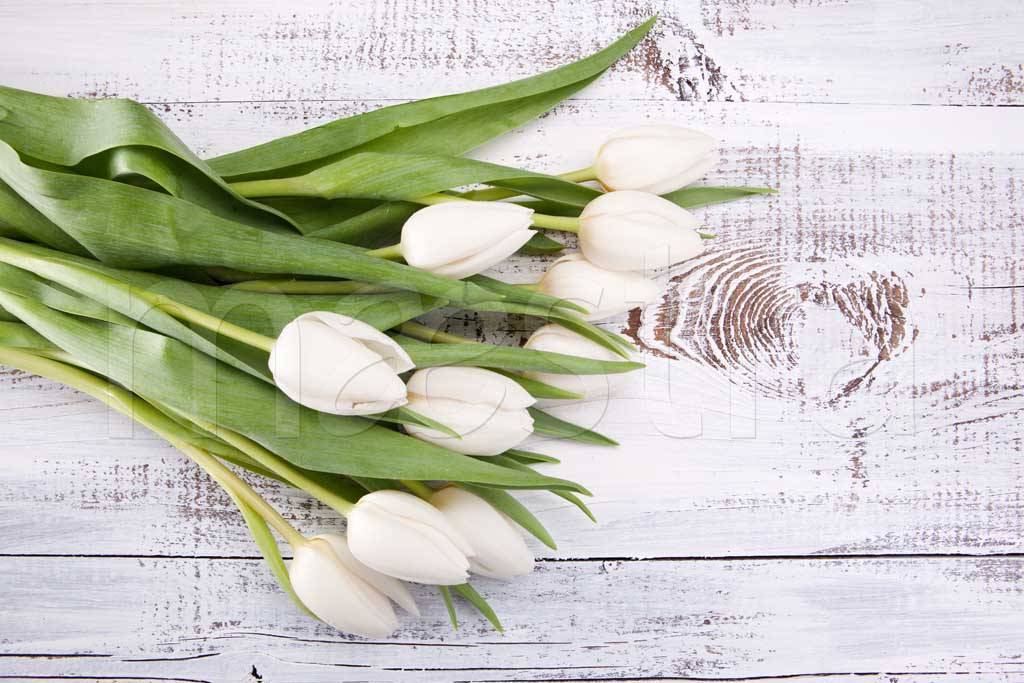 Фотообои Букет весенних белых тюльпанов