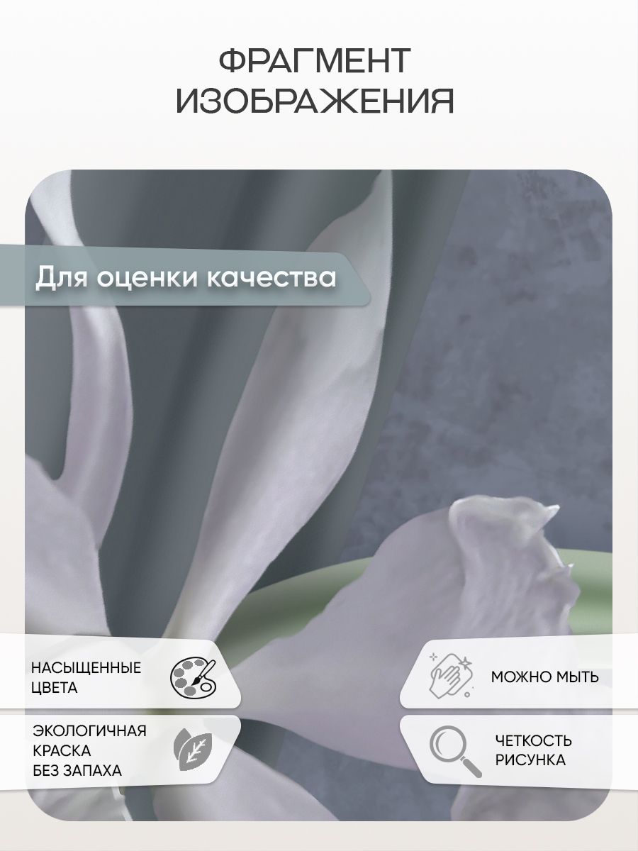 Фотообои «Ирисы на темном фоне» 13-808 — крупный план