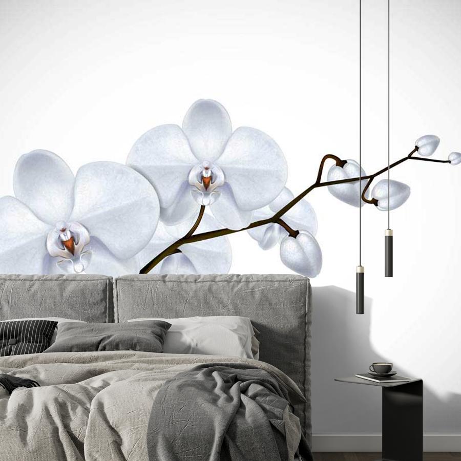 фотообои белая орхидея художественная 10-156