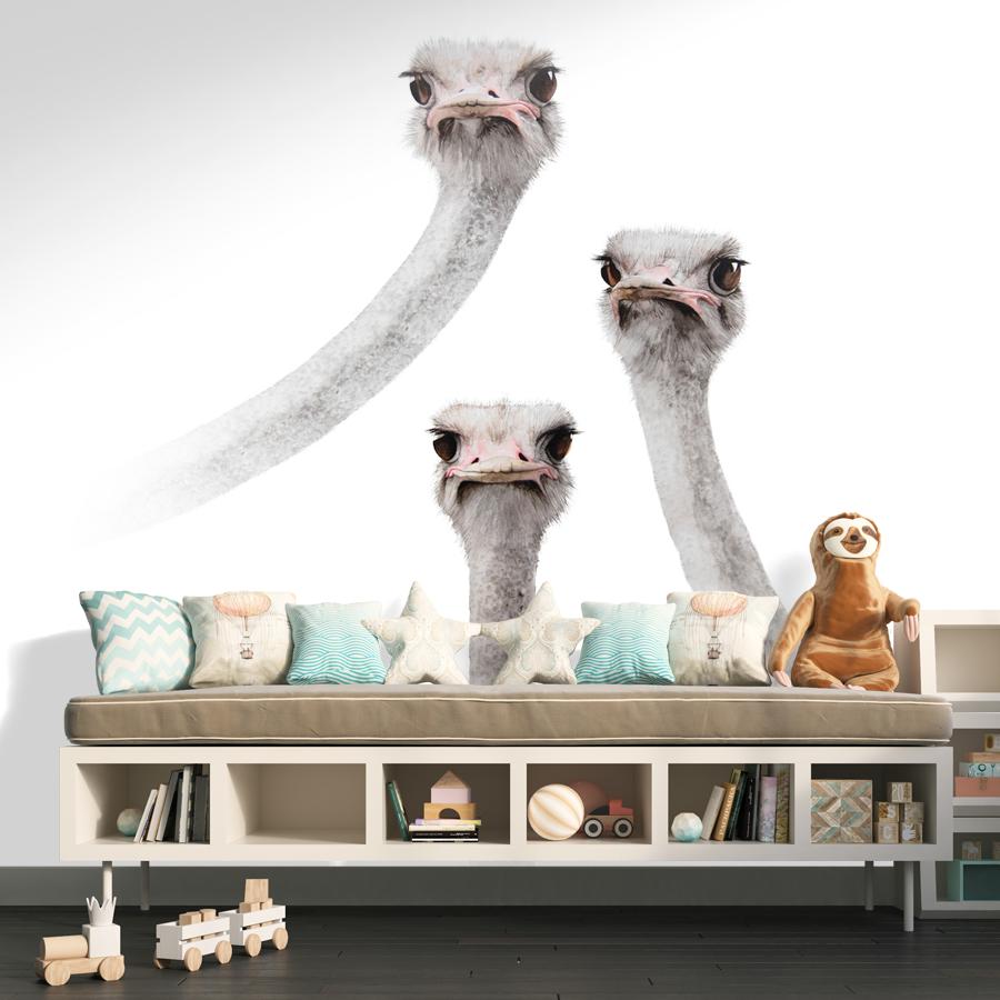 фотообои страусы 12-1502