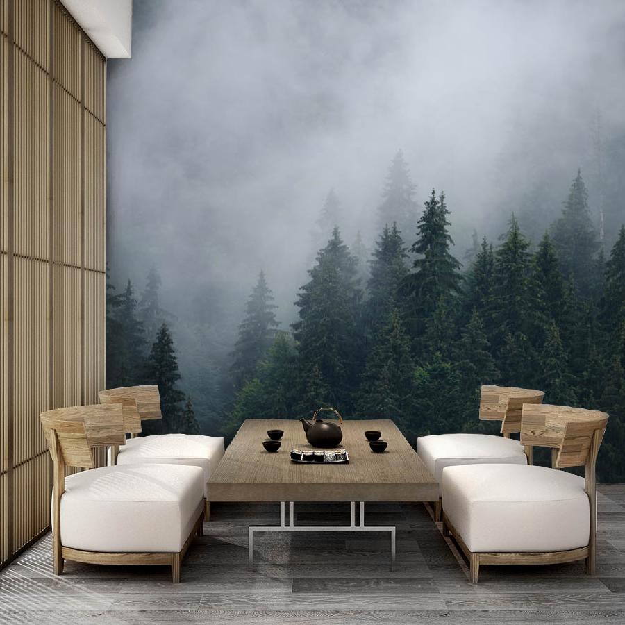 фотообои туманные леса 9-1172