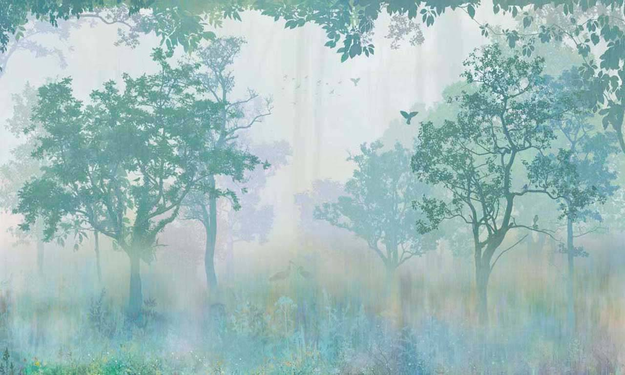 Фотообои Туманный лес в сизом тумане