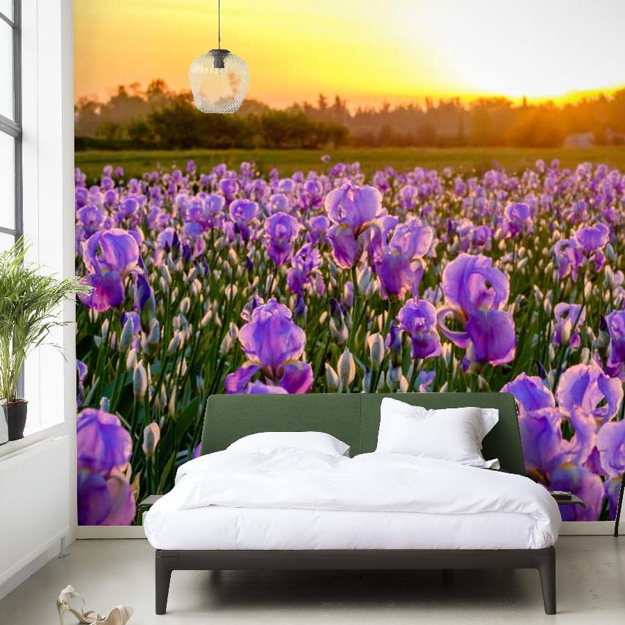 фотообои ирисовые поля 10-006