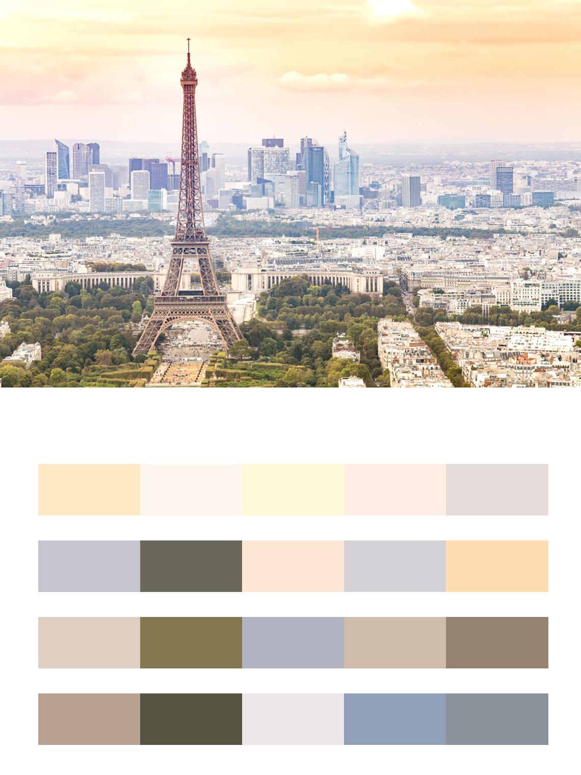 Вид Парижа в сером цвете цвета