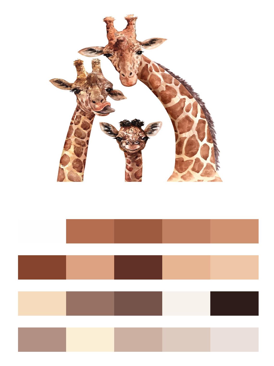 Семья жирафов цвета