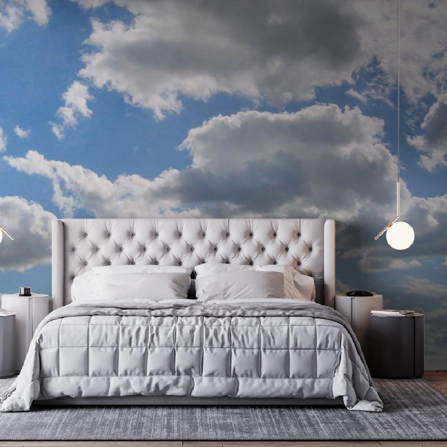 фотообои легкое небо 9-377