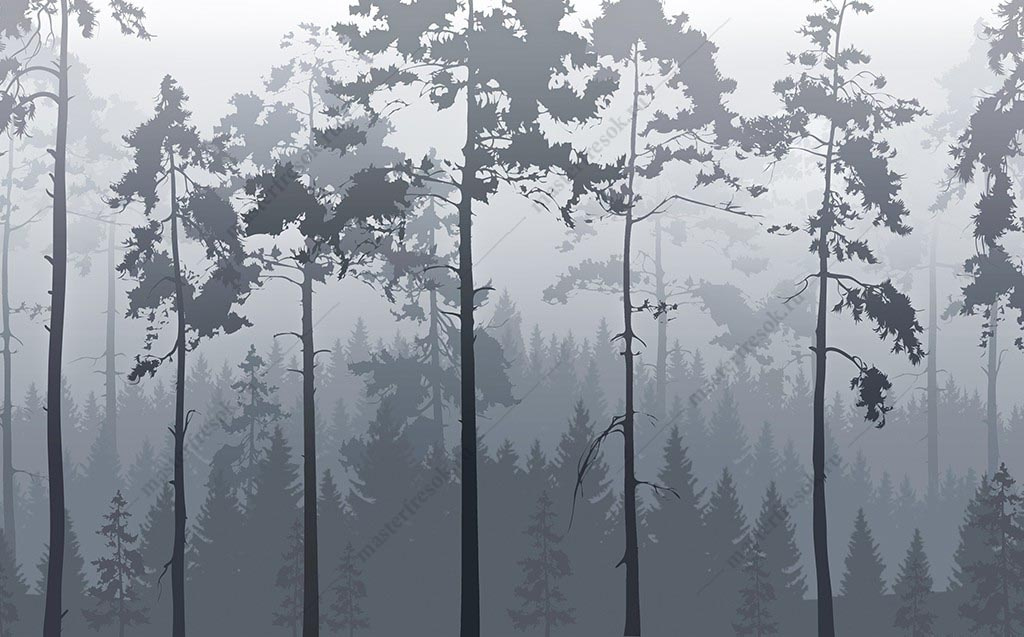 Фотообои Бледно-серый туманный лес