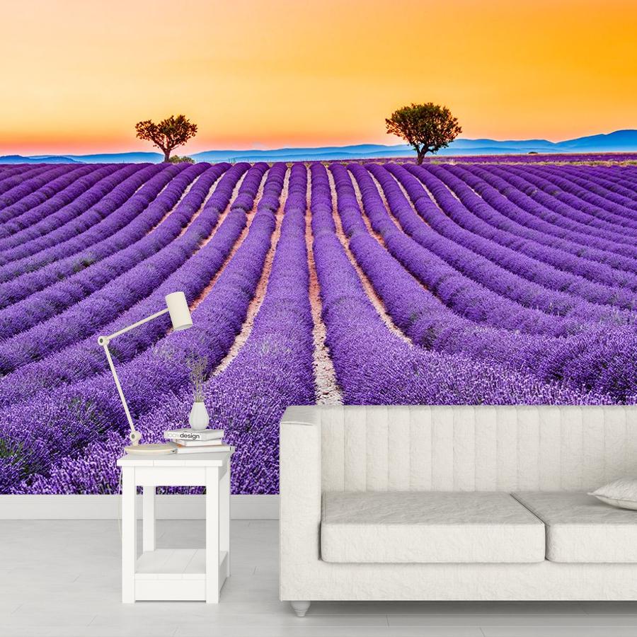 фотообои закат в лавандовых полях 9-1734