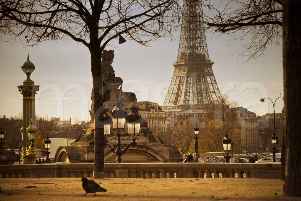 Фотообои Парк Парижа
