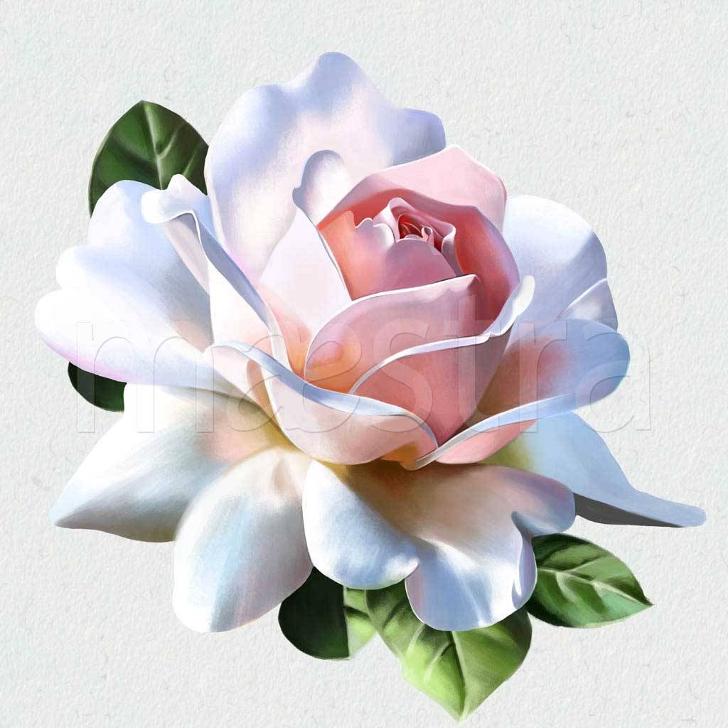Фотообои Розовая художественная роза на светлом фоне