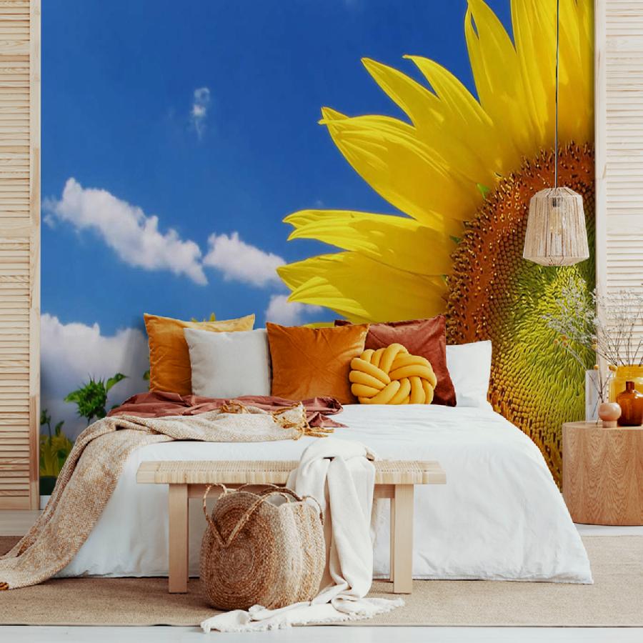 фотообои желтый подсолнух 3 д на фоне неба 9-386