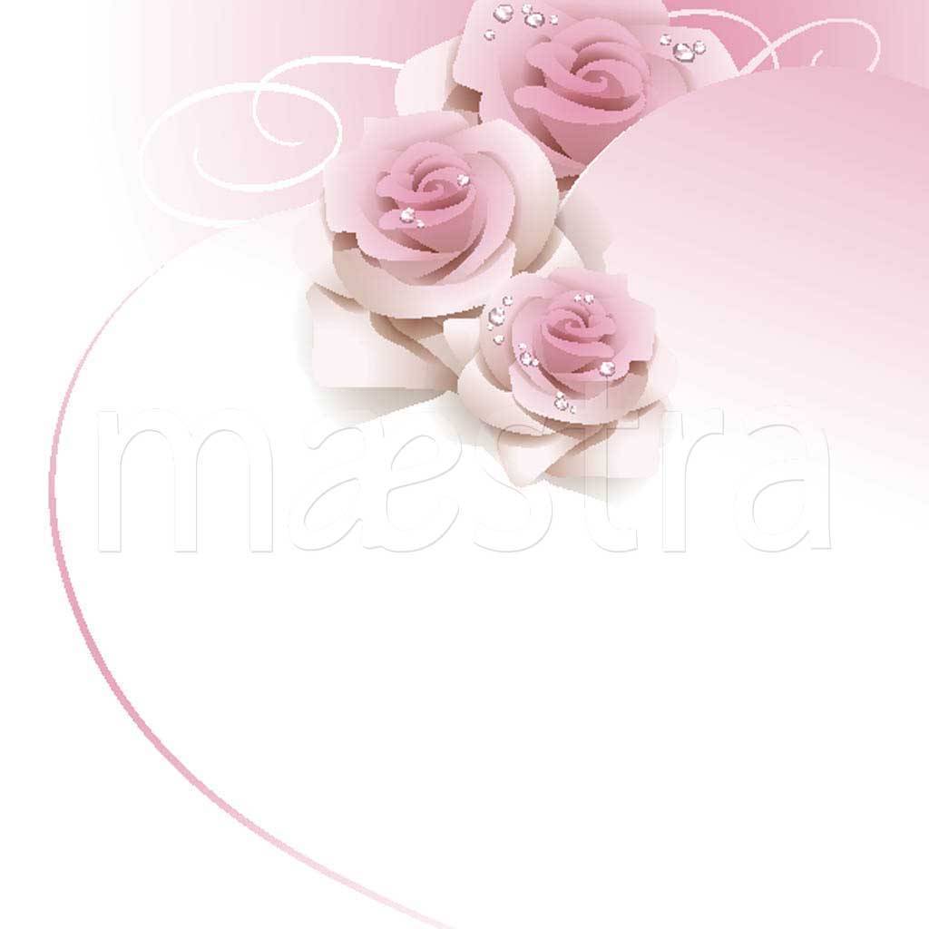 Фотообои Нежная роза роскошная