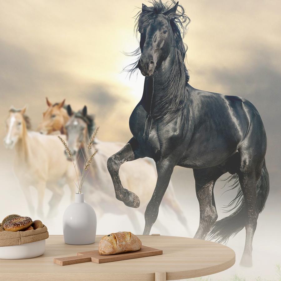 фотообои конь черный 9-1771