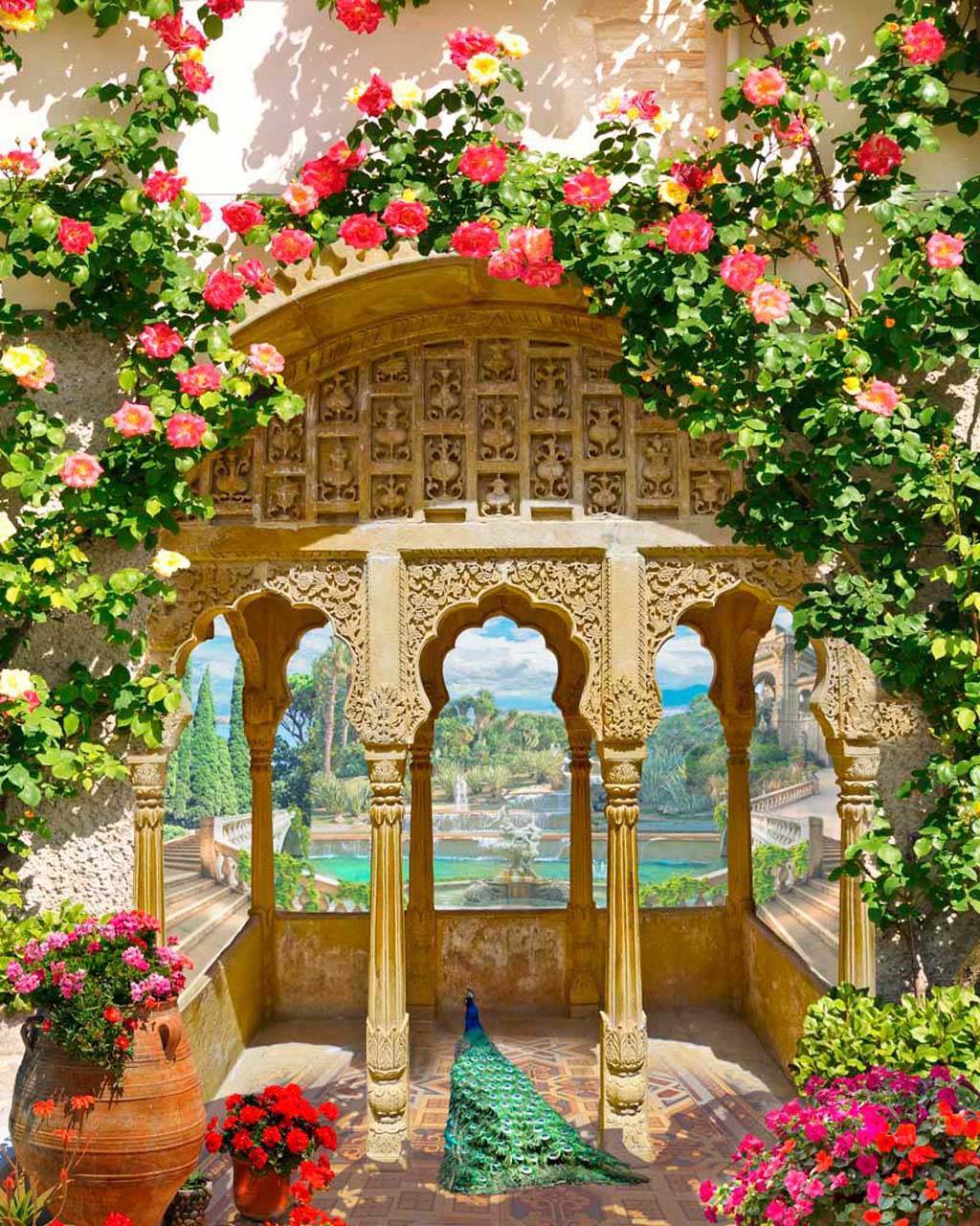 красивая беседка с павлином 5-011