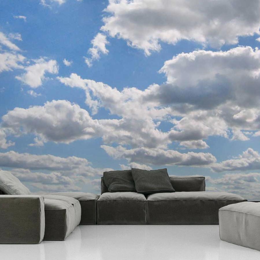 фотообои легкое небо 9-377