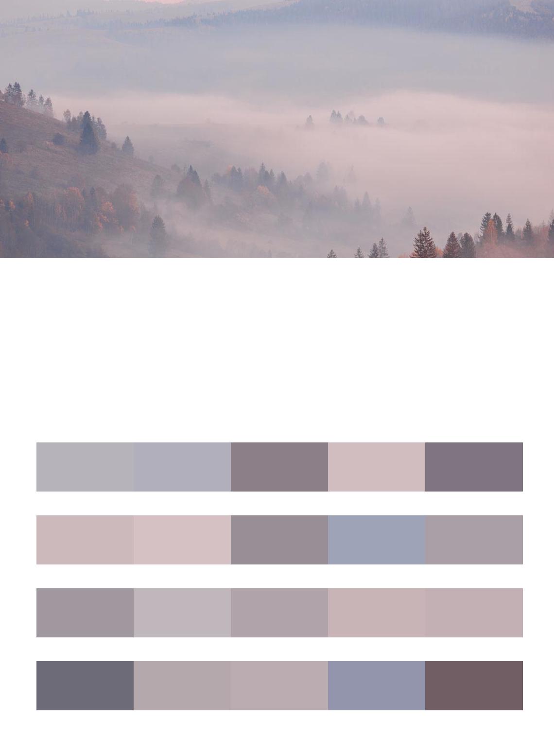 Деревья в тумане цвета