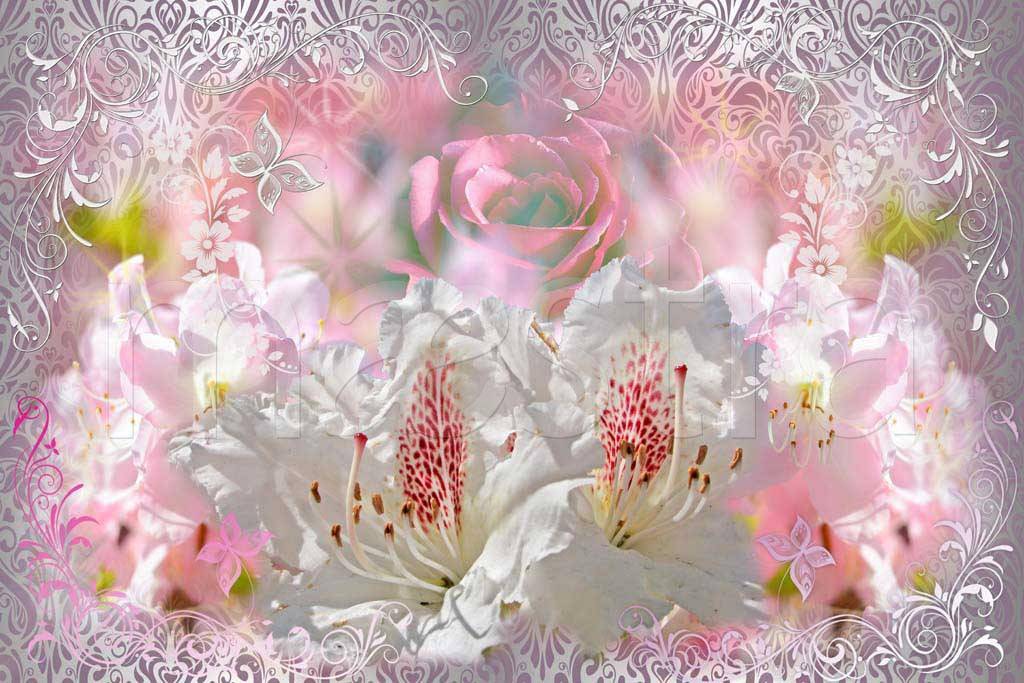 Фотообои Розовые лилии и розы