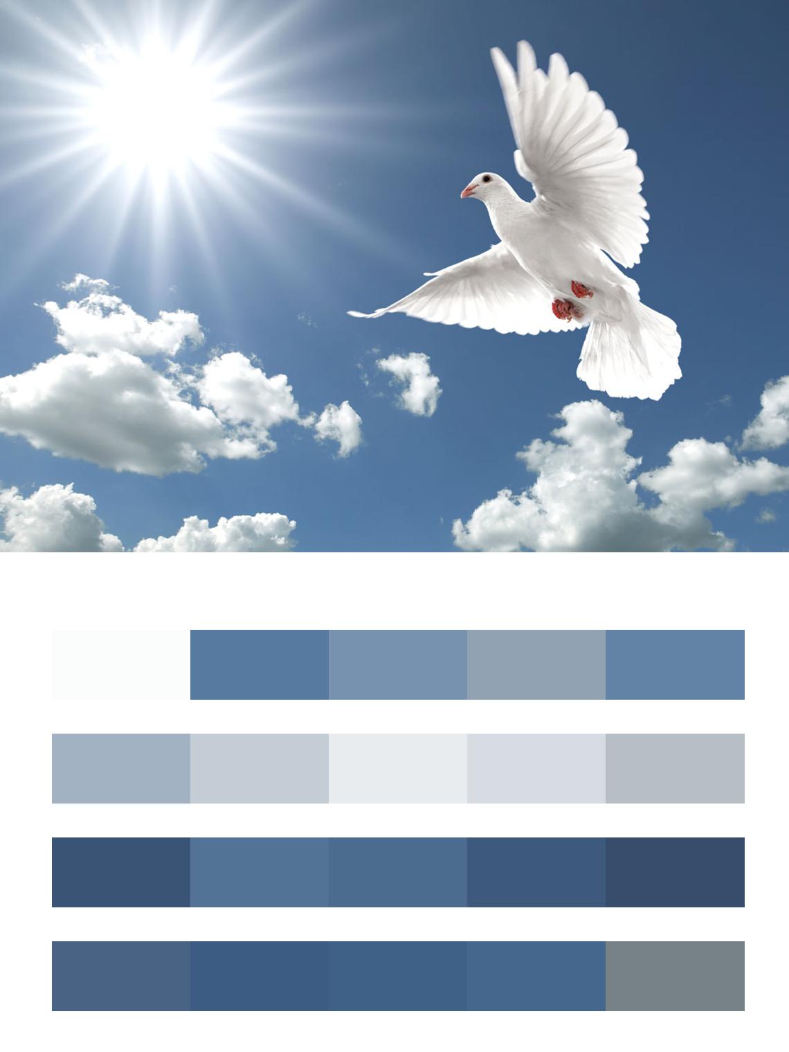 Летящий голубь в небе цвета