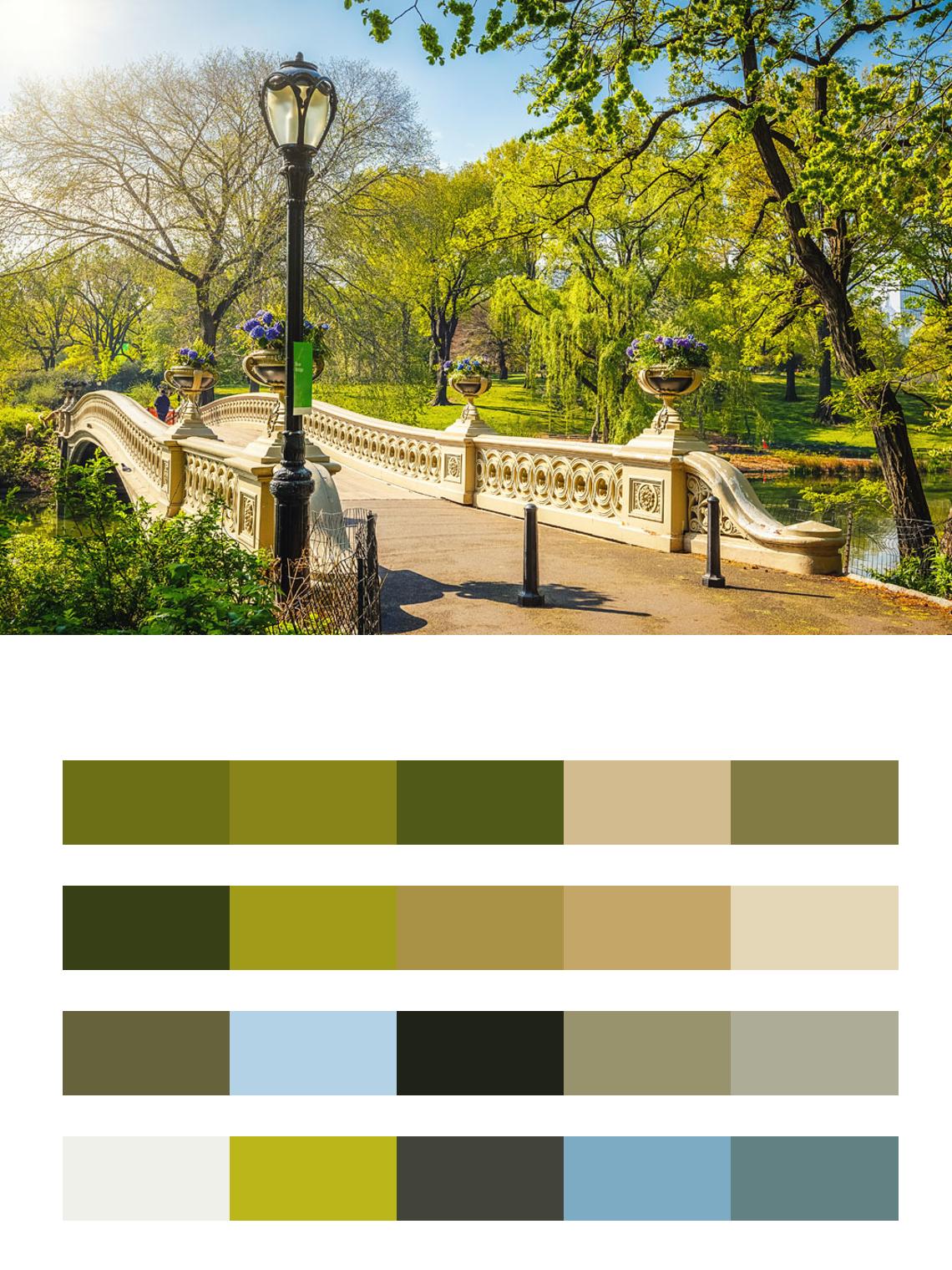 Парк в Нью Йорке цвета