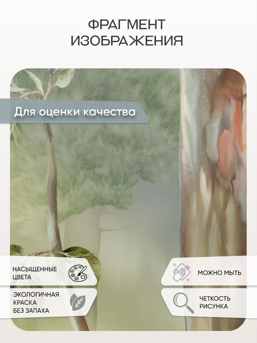 Фотообои «Хвойный лес на рассвете» 13-868 — крупный план