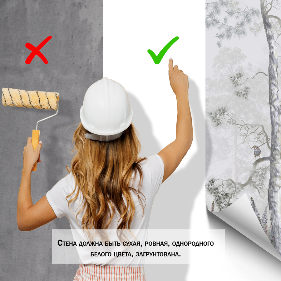 фотообои сосновый лес 13-010