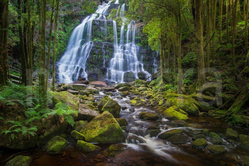 Фотообои Водопад на западном побережье Тасмании, Нельсон