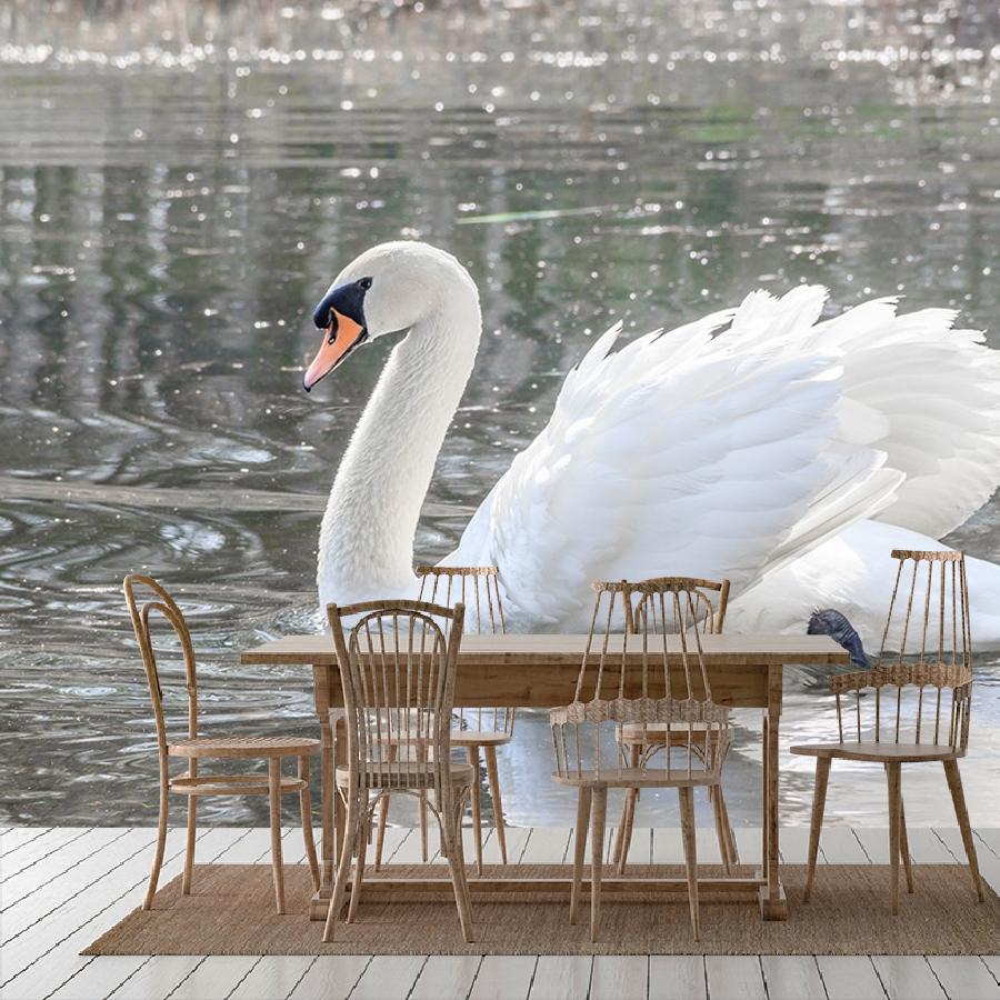 фотообои лебедь на воде 9-1733