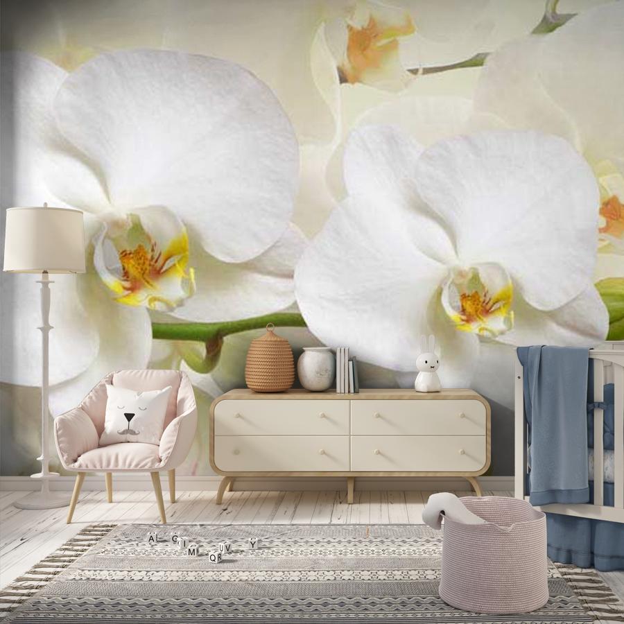фотообои белая орхидея пленительная 10-162