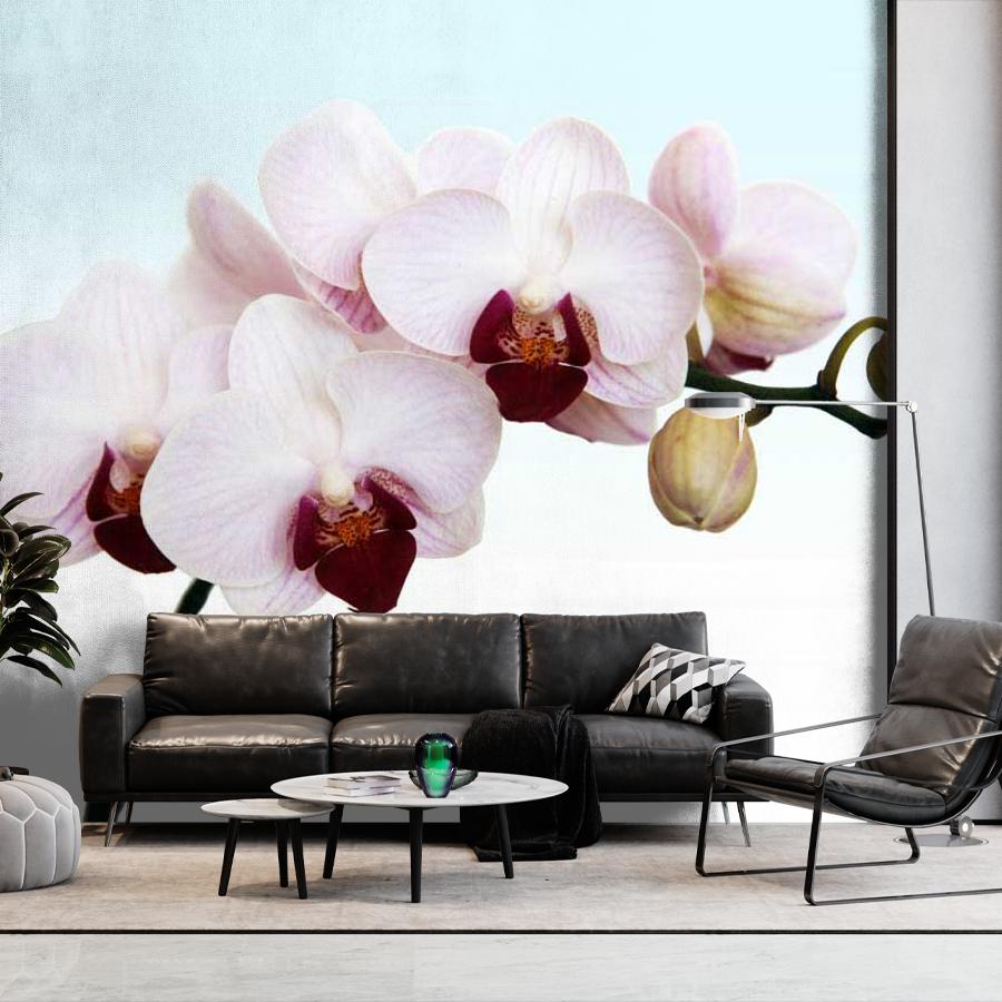 фотообои белая орхидея живописная 10-161