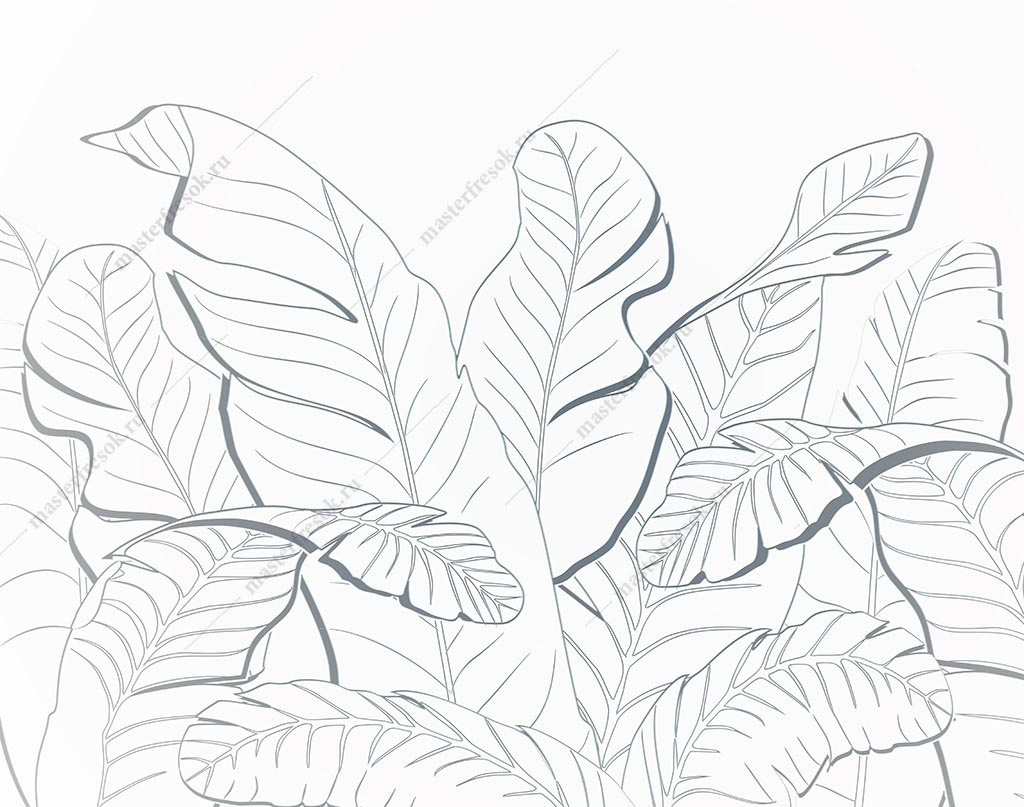 Фотообои Контур тропические листья
