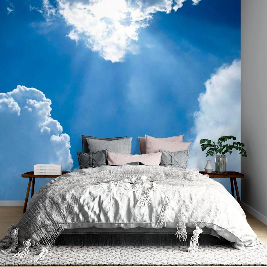 фотообои беззвездное небо с лучами солнца 9-395