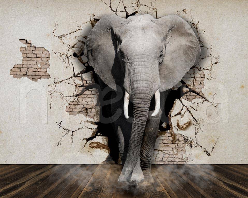 Фотообои Слон выходит из стены