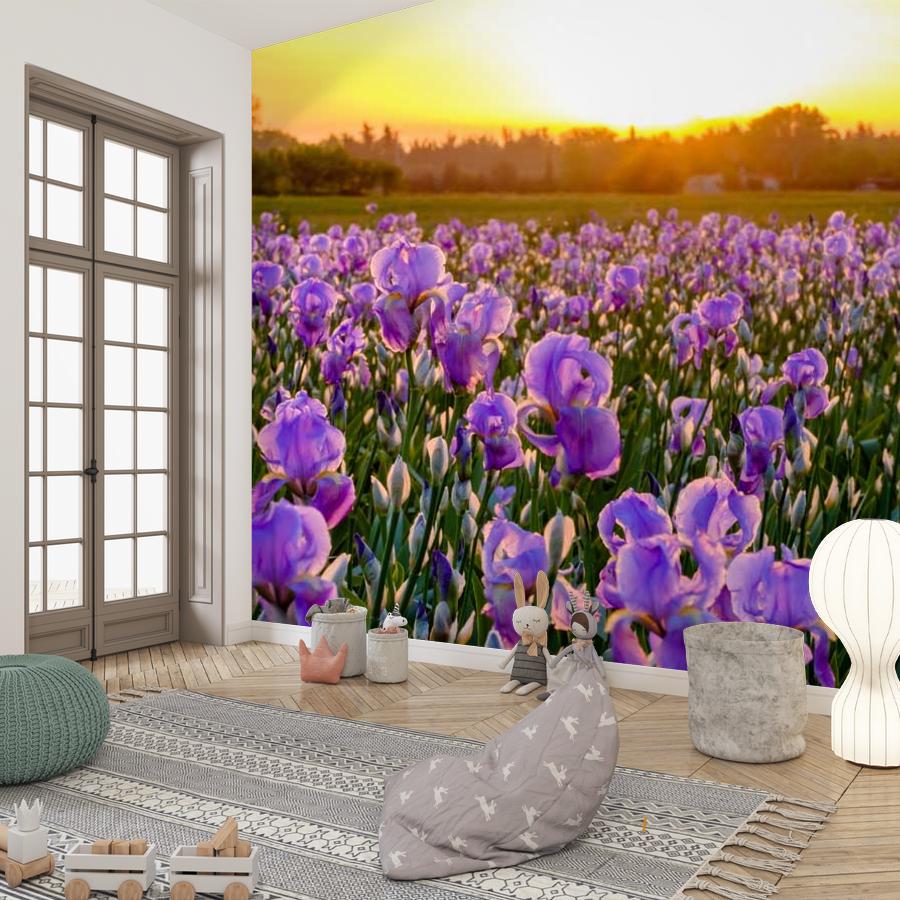 фотообои ирисовые поля 10-006