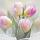 Тюльпаны