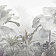 Тропический лес